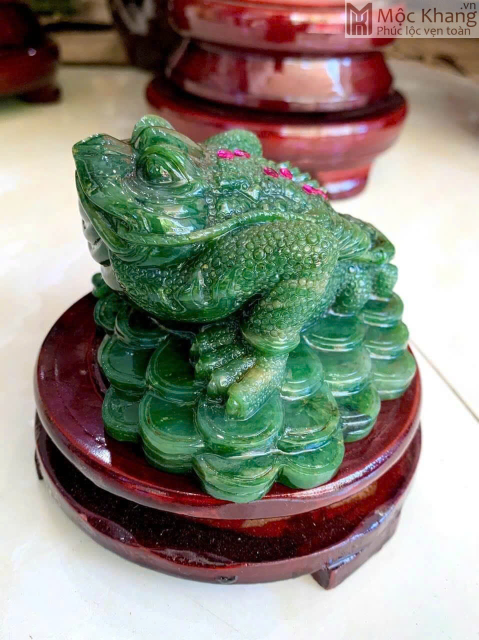 CÓC NGẬM TIỀN CÓ HỢP MỆNH MỘC HAY KHÔNG? 4 Z7299974649245_3ca9acc018715a85f88755156cf5535c