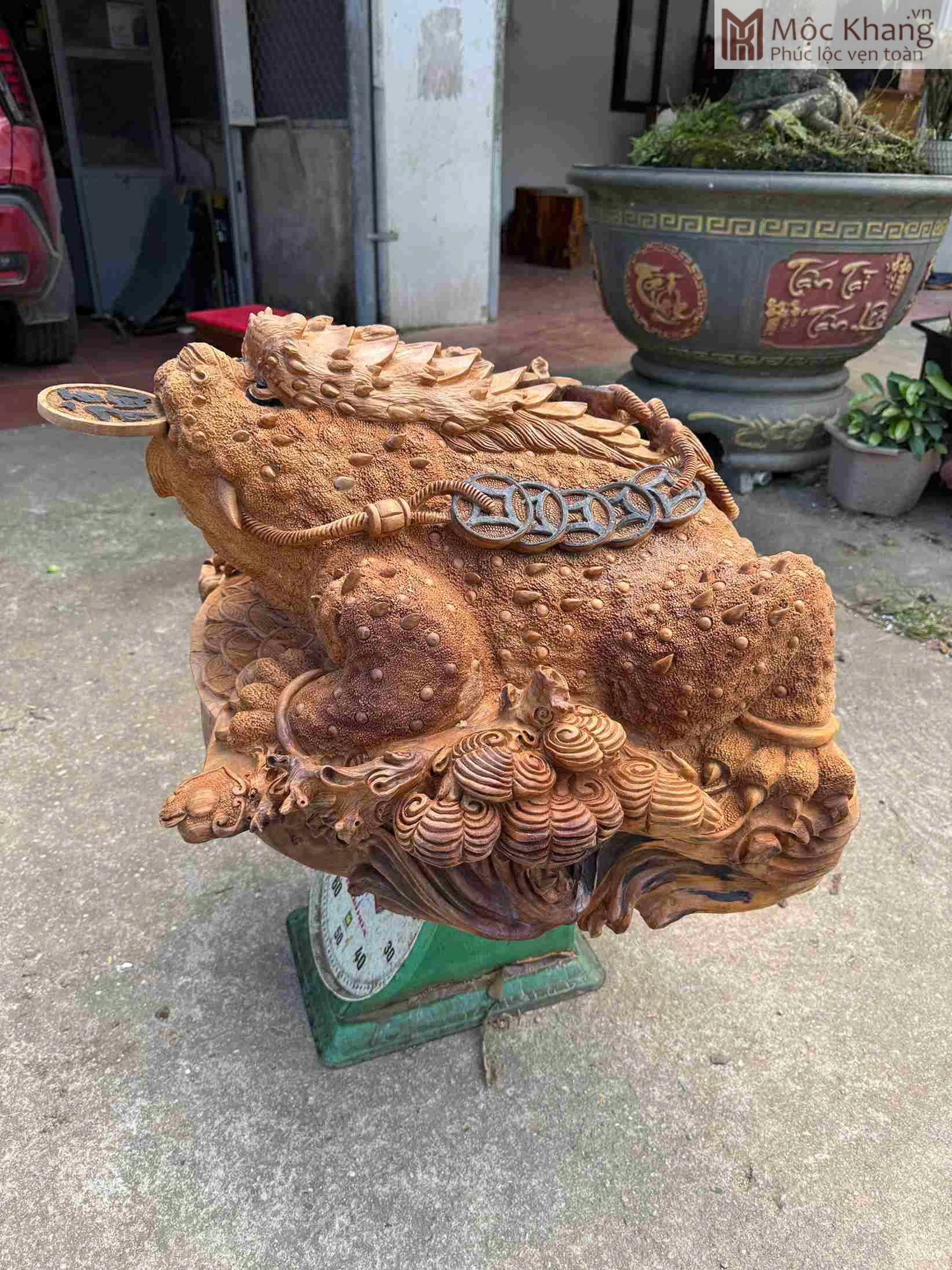 CÓC NGẬM TIỀN CÓ HỢP MỆNH MỘC HAY KHÔNG? 3 Z7299975946100_2c3d751f34670d5d4dffb1b2c3a29643